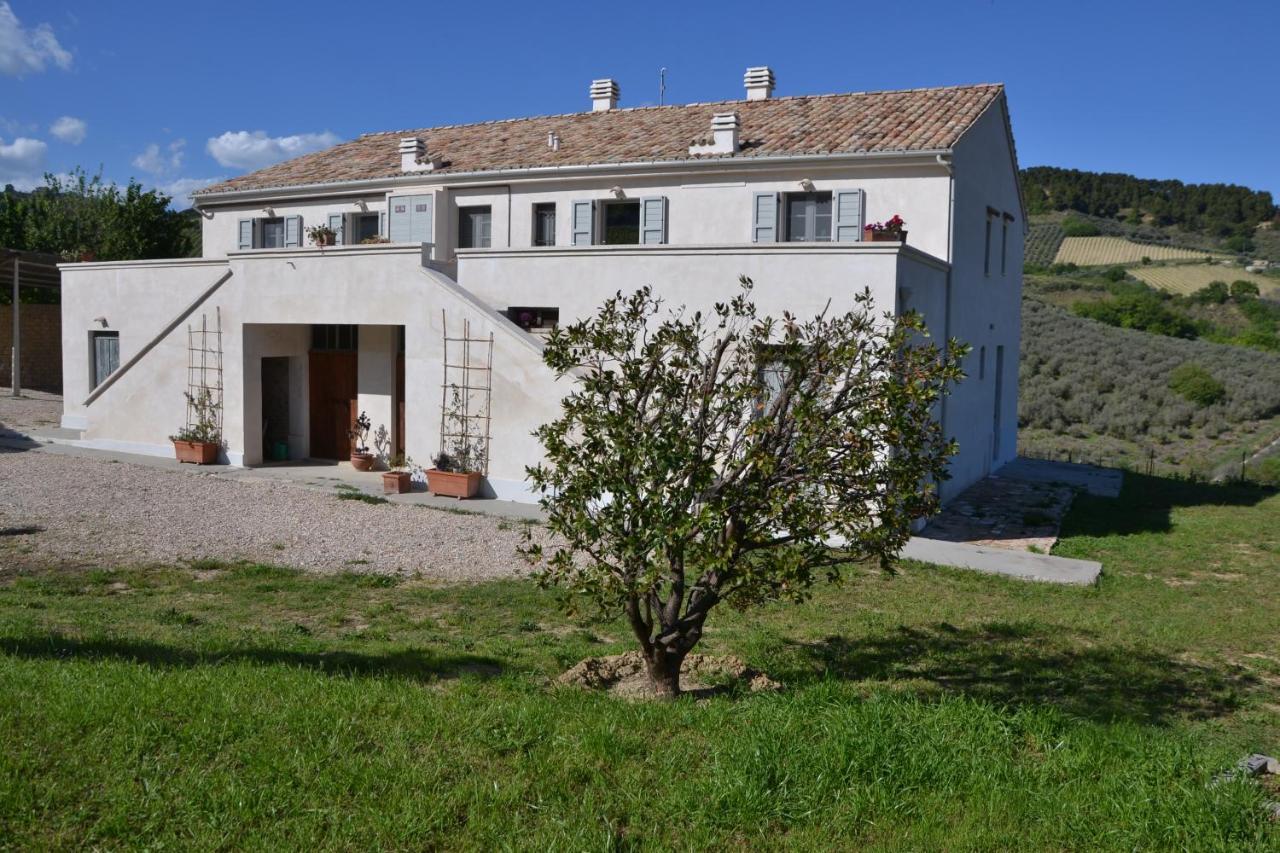 B&B Casale Fonte Vecchia Monteprandone Exteriör bild