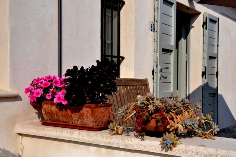 B&B Casale Fonte Vecchia Monteprandone Exteriör bild