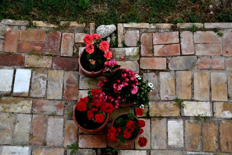 B&B Casale Fonte Vecchia Monteprandone Exteriör bild