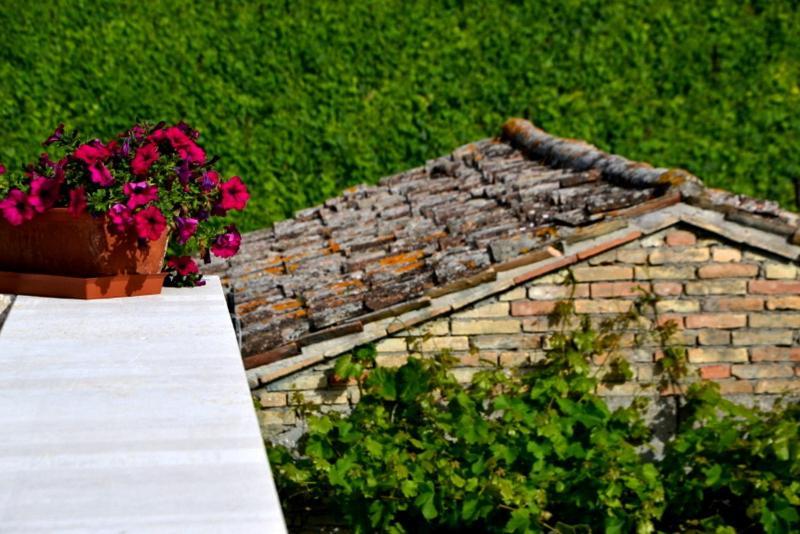 B&B Casale Fonte Vecchia Monteprandone Exteriör bild