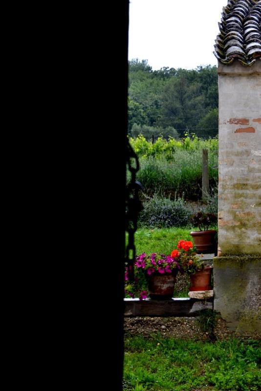 B&B Casale Fonte Vecchia Monteprandone Exteriör bild