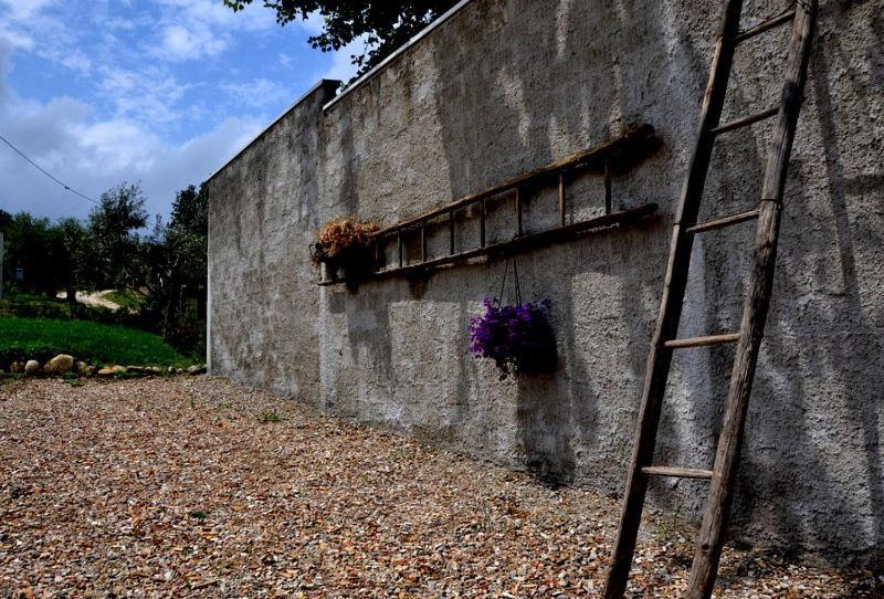 B&B Casale Fonte Vecchia Monteprandone Exteriör bild
